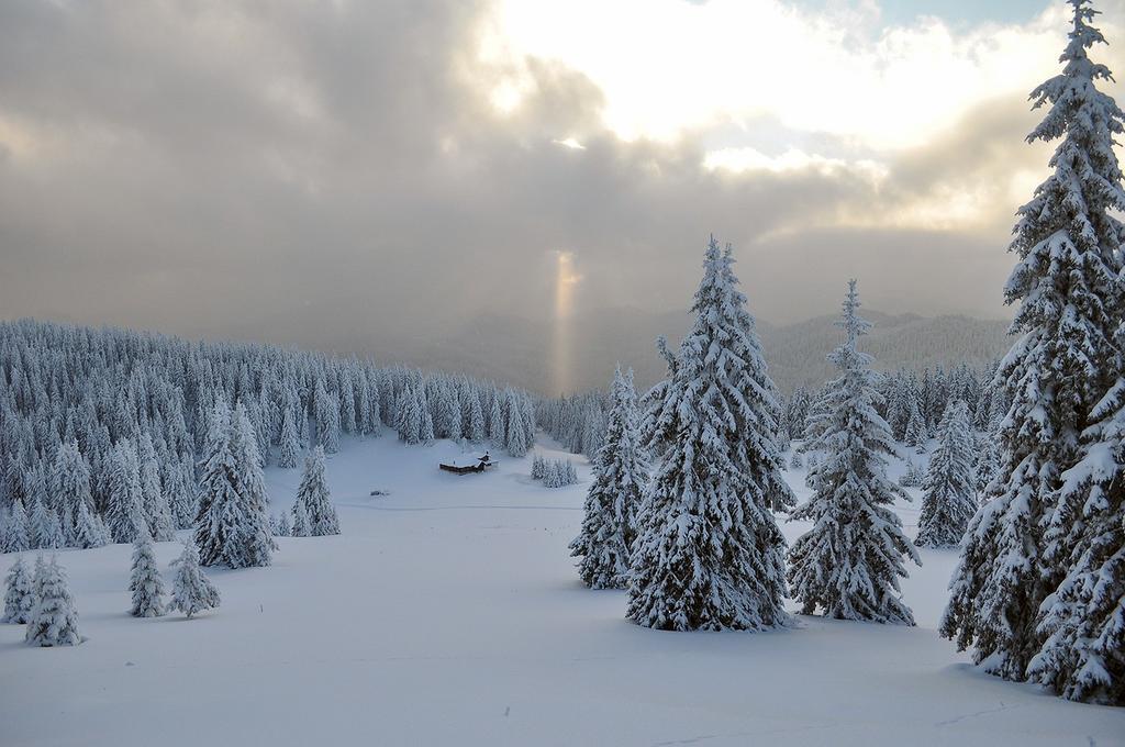Studio Atlantic Lägenhet Pamporovo Exteriör bild