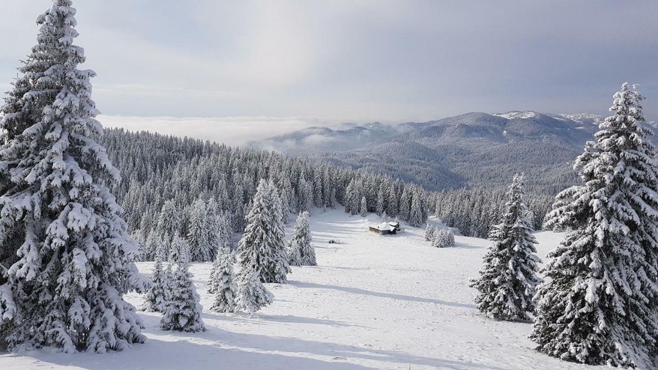 Studio Atlantic Lägenhet Pamporovo Exteriör bild
