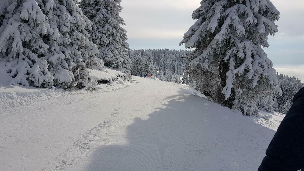 Studio Atlantic Lägenhet Pamporovo Exteriör bild